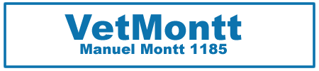 branding logo